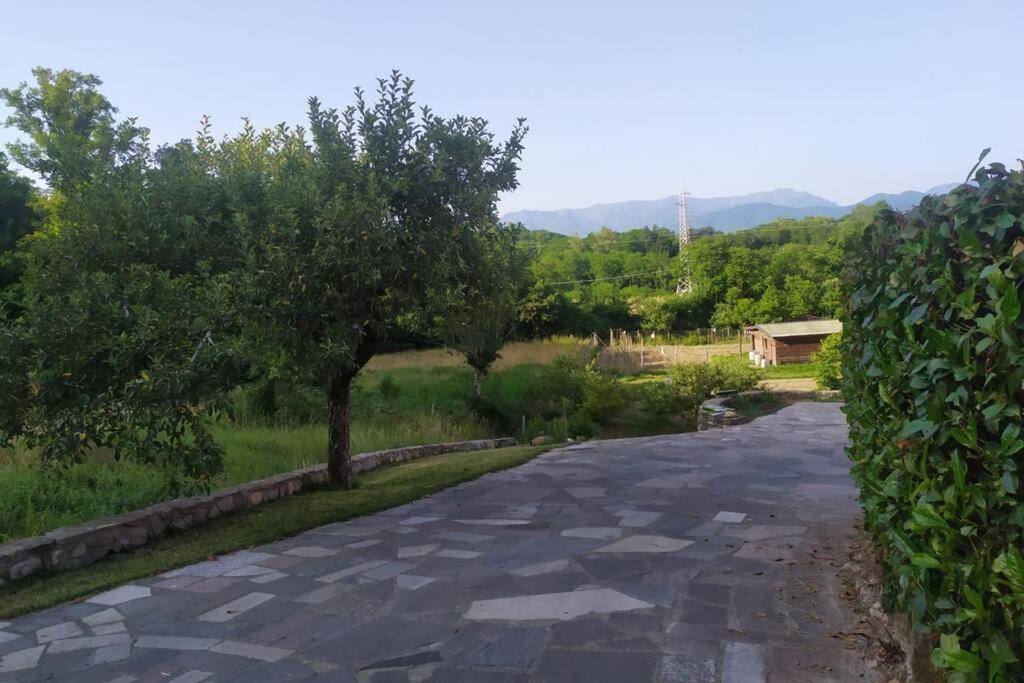 Barbarasco Appartamento Nel Verde Tra Cinque Terre E Versilia מראה חיצוני תמונה